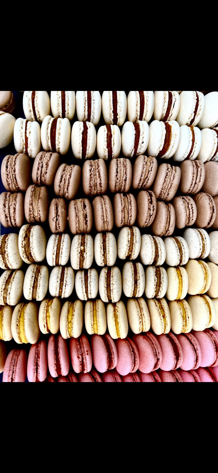 Atelier macarons vegan